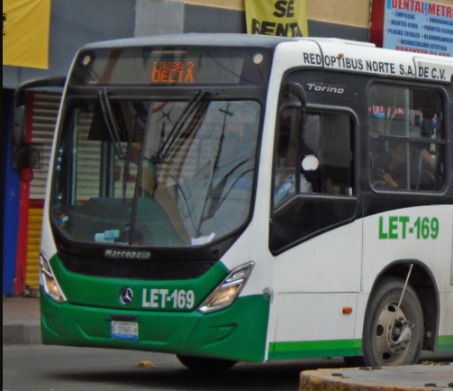 linea.2
